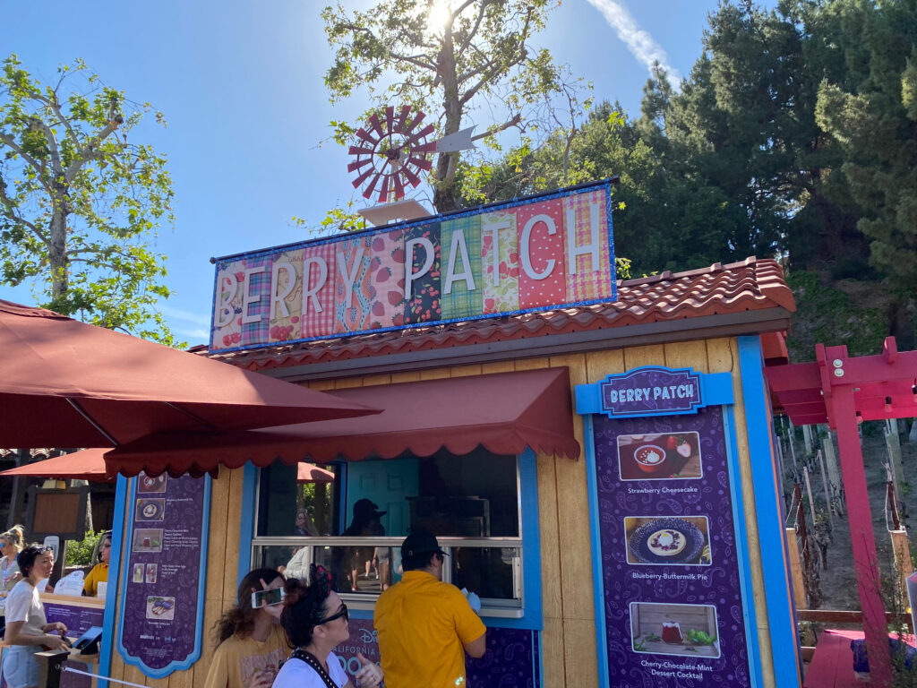 berrypatch-booth-dca