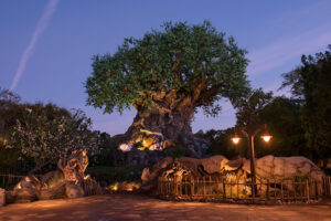 best-places-to-eat-at-animal-kingdom